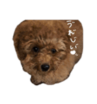 じじちゃんのまいにち^ ^（個別スタンプ：22）