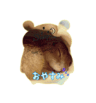 リチャードソンジリスのもっちゃん①（個別スタンプ：7）