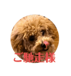 モナ犬のスタンプ（個別スタンプ：3）