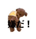モナ犬のスタンプ（個別スタンプ：14）