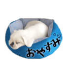 ぺきもこもっちくん⑤（個別スタンプ：11）