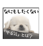 ぺきもこもっちくん⑤（個別スタンプ：20）