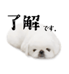ぺきもこもっちくん⑤（個別スタンプ：30）