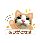 うちのねこ＋α【山形の方言】（個別スタンプ：9）