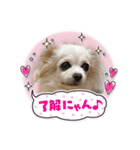 ゆめの毎日スタンプ7（個別スタンプ：7）