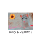 愛しのひまたん♡（個別スタンプ：1）