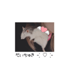 愛しのひまたん♡（個別スタンプ：4）