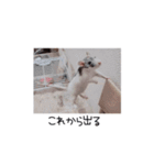 愛しのひまたん♡（個別スタンプ：7）