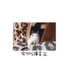 愛しのひまたん♡（個別スタンプ：8）