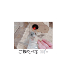 愛しのひまたん♡（個別スタンプ：13）