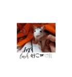 愛しのひまたん♡（個別スタンプ：14）