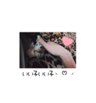 愛しのひまたん♡（個別スタンプ：16）