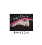 愛しのひまたん♡（個別スタンプ：18）