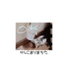 愛しのひまたん♡（個別スタンプ：20）