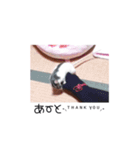 愛しのひまたん♡（個別スタンプ：22）
