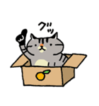 キジトラ猫さん☆毎日使いやすい（個別スタンプ：25）