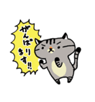 キジトラ猫さん☆毎日使いやすい（個別スタンプ：28）