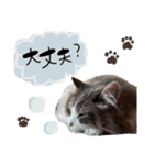 nito_itsu（個別スタンプ：30）
