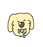 Kawaii Colorful Dog（個別スタンプ：20）