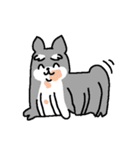 Kawaii Colorful Dog（個別スタンプ：31）