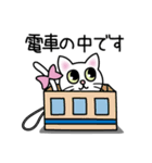 しろねこのリボン2（待ち合わせ編）（個別スタンプ：8）