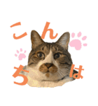 コロナ終息（個別スタンプ：3）