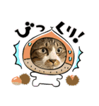 コロナ終息（個別スタンプ：7）
