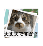 コロナ終息（個別スタンプ：9）