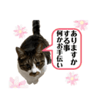 コロナ終息（個別スタンプ：20）
