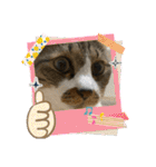 コロナ終息（個別スタンプ：21）