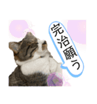 コロナ終息（個別スタンプ：27）