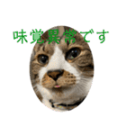 コロナ終息（個別スタンプ：31）