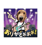 ゴールデン金＆桃＆福の1日（個別スタンプ：3）