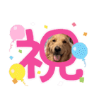 ゴールデン金＆桃＆福の1日（個別スタンプ：7）