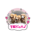 ゴールデン金＆桃＆福の1日（個別スタンプ：23）