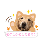 ゴールデン金＆桃＆福の1日（個別スタンプ：24）