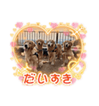ゴールデン金＆桃＆福の1日（個別スタンプ：38）