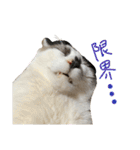 にぼしくん3（個別スタンプ：5）