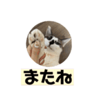 にぼしくん3（個別スタンプ：23）
