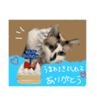 にぼしくん3（個別スタンプ：39）