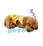 ロイスープ（個別スタンプ：5）