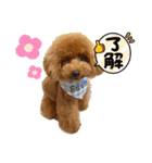 ロイスープ（個別スタンプ：17）