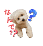 ロイスープ（個別スタンプ：18）