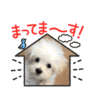 ロイスープ（個別スタンプ：21）