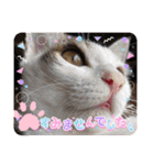 ジジキキちゃんスタンプ〜（個別スタンプ：3）