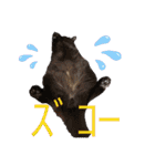 ジジキキちゃんスタンプ〜（個別スタンプ：4）