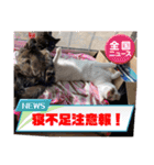 ジジキキちゃんスタンプ〜（個別スタンプ：7）