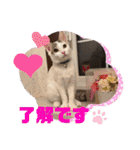 ジジキキちゃんスタンプ〜（個別スタンプ：8）