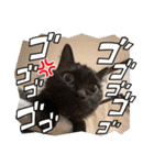 ジジキキちゃんスタンプ〜（個別スタンプ：10）