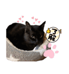 ジジキキちゃんスタンプ〜（個別スタンプ：17）